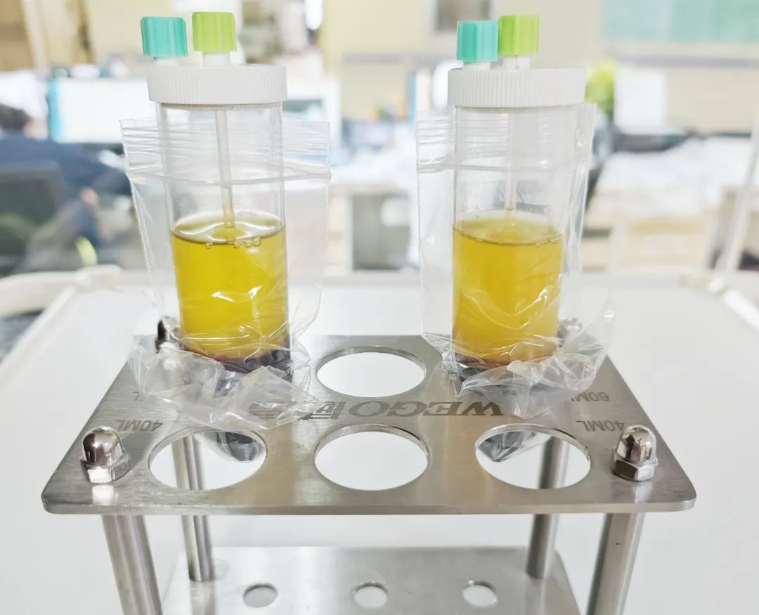 昆明市延安医院：膝盖疼到站不稳？这种治疗方法，让她终于能轻松走路了