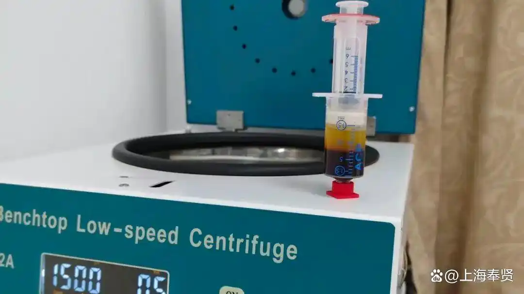 上海市奉贤区奉城医院：膝盖“重获新生”！PRP疗法让徒步达人再登山顶